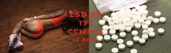 гидропоника Верея