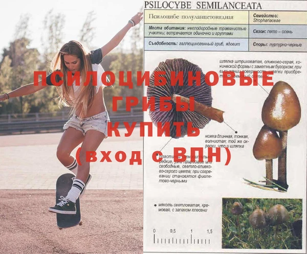 скорость mdpv Верхнеуральск
