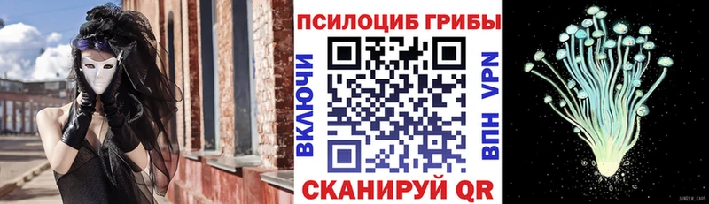 shop наркотические препараты  где найти наркотики  ОМГ ОМГ ССЫЛКА  Выборг  Псилоцибиновые грибы мицелий 